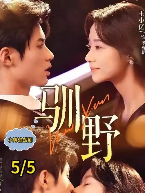 长夜将尽 电视剧全集在线观看